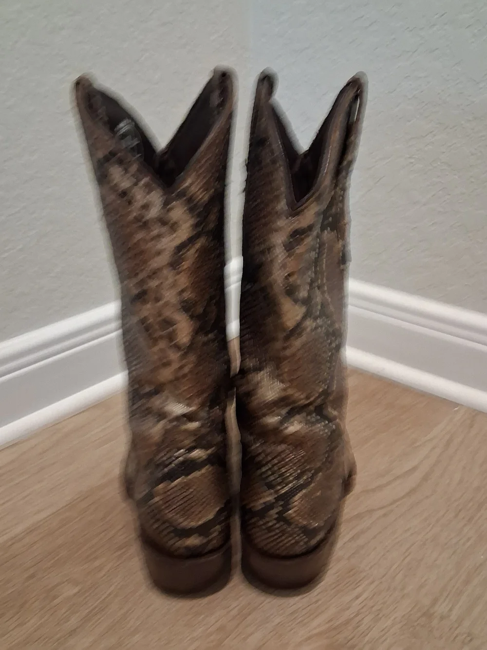 Women’s Brown Snake-Print Western Ankle Boots, Republic of Texas.
